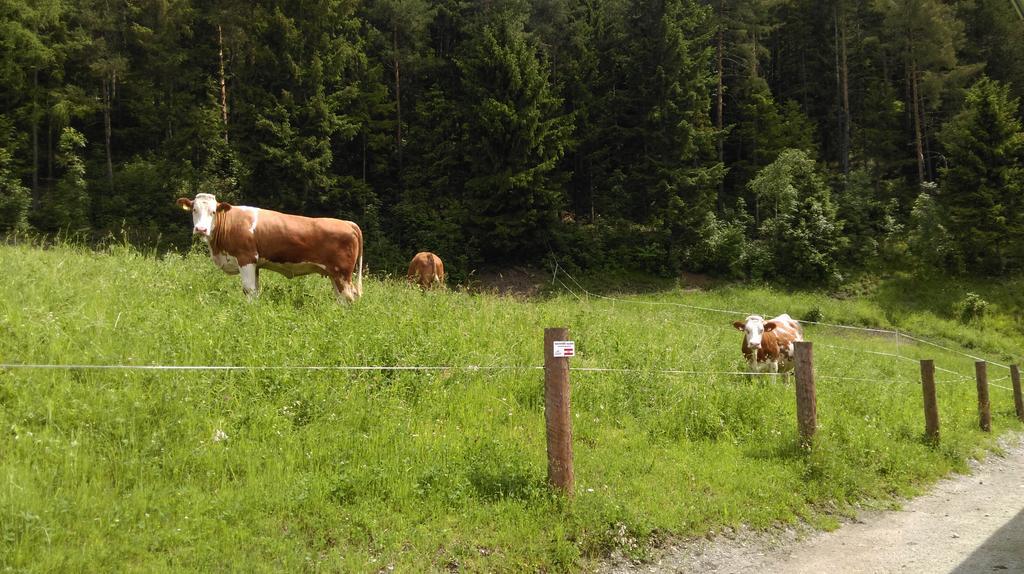 Saumerhof Schladming Exteriör bild