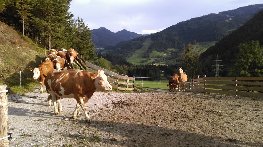 Saumerhof Schladming Exteriör bild