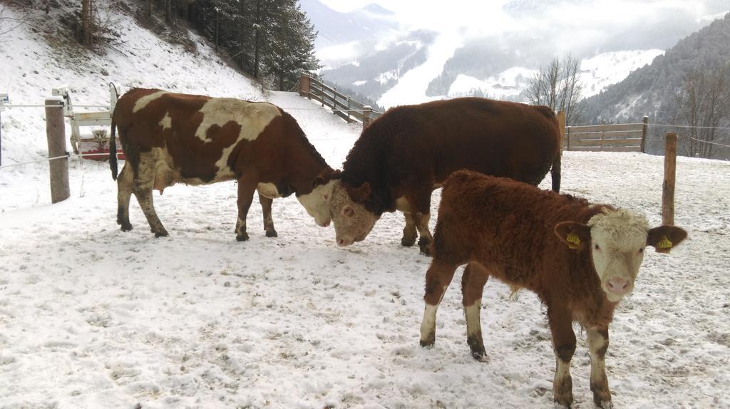 Saumerhof Schladming Exteriör bild