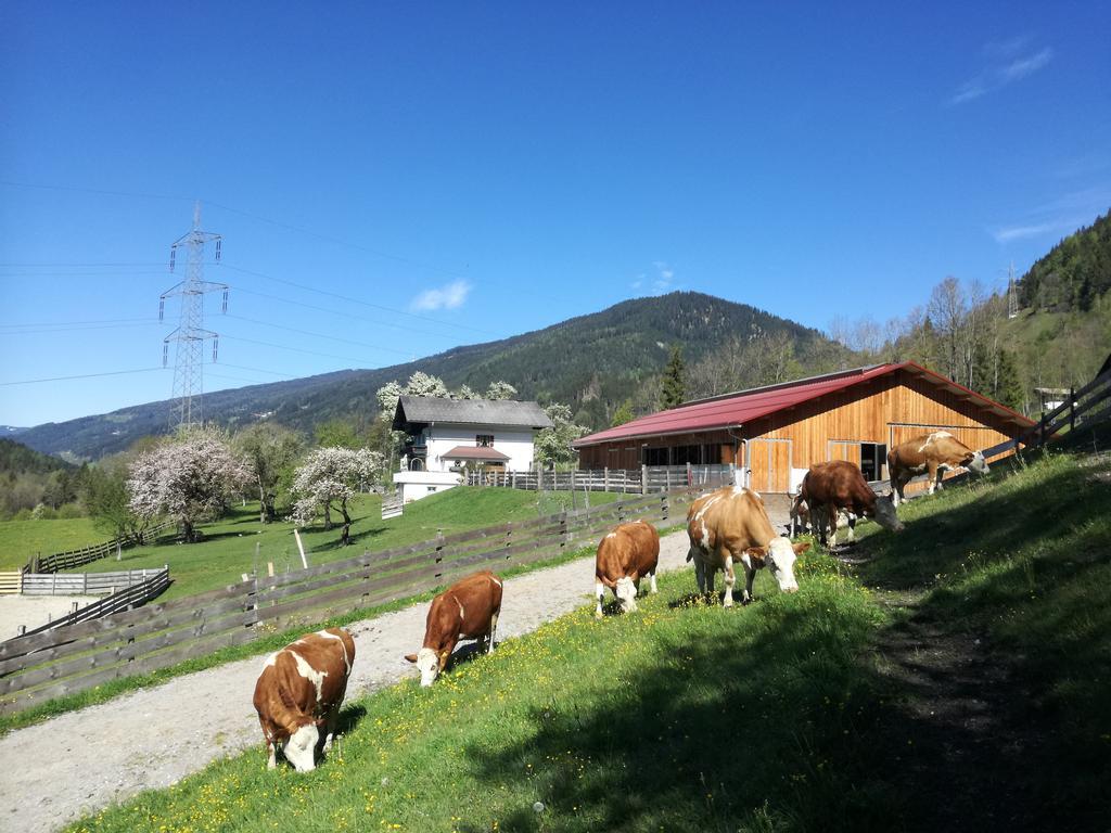 Saumerhof Schladming Exteriör bild